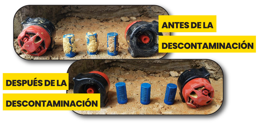 RESULTADOS