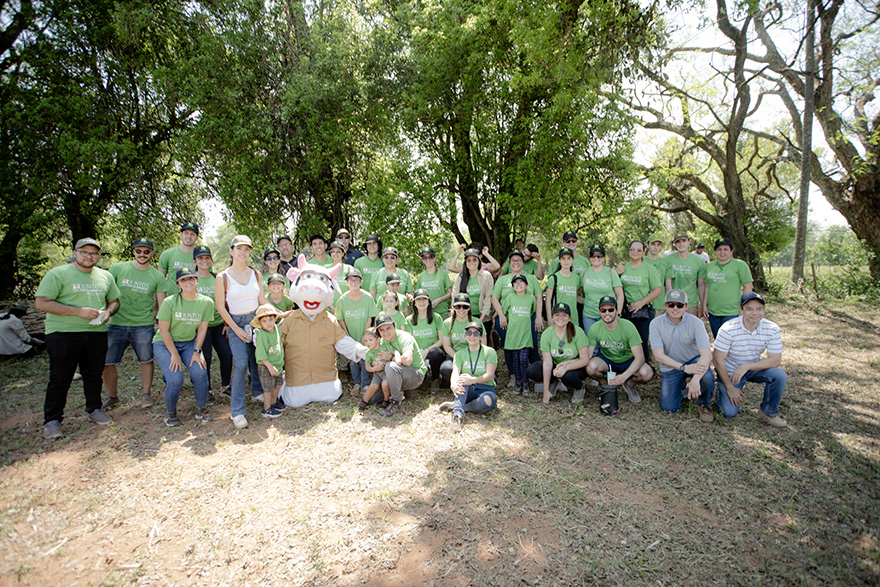 plantacion_automaq